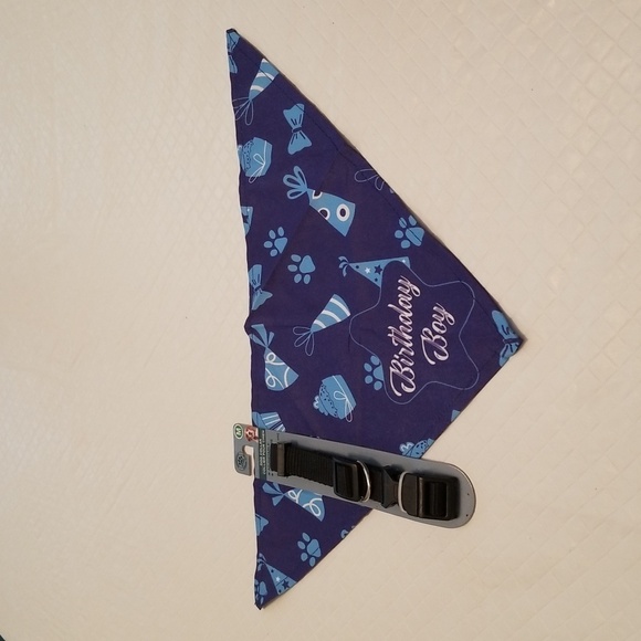 Dog Happy birthday bandana  and medium black collat - Picture 1 of 5